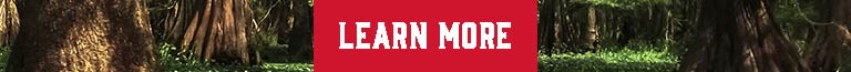 Learn More
