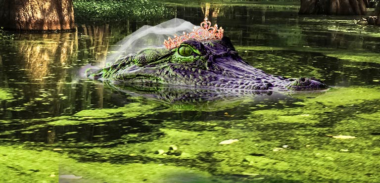 Bayou Bach